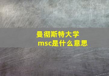 曼彻斯特大学 msc是什么意思